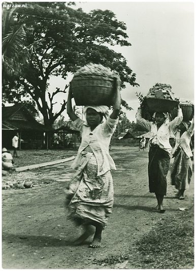196.jpg
