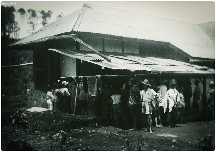 223.jpg