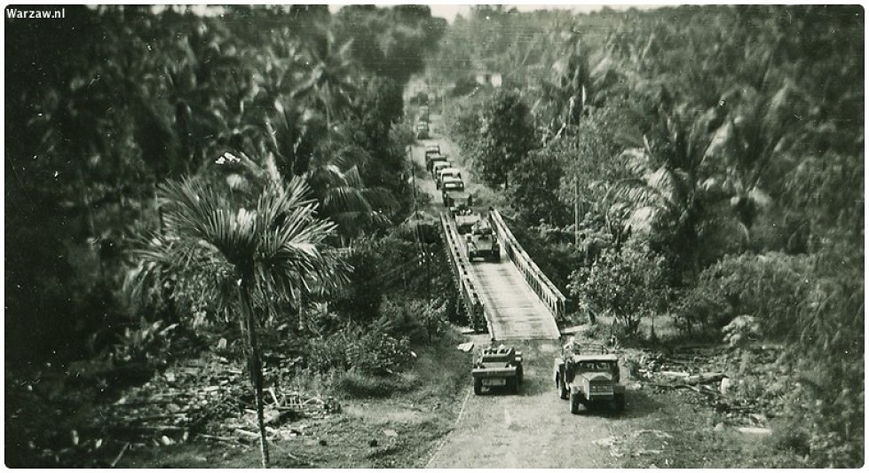 253.jpg