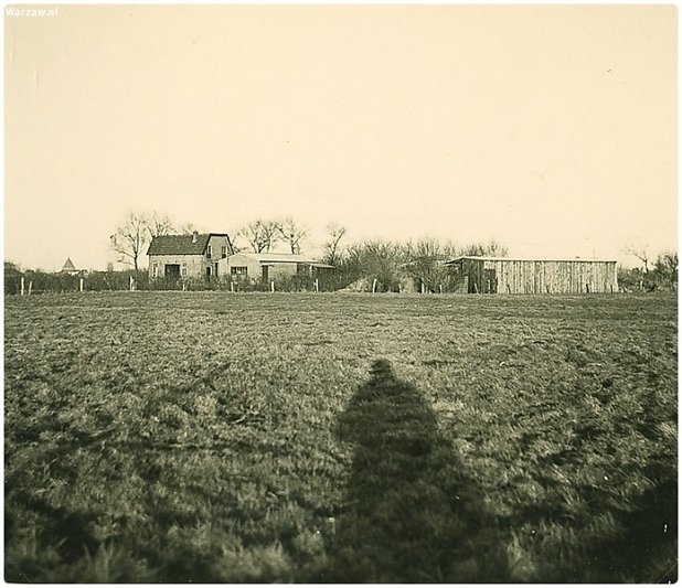 opa-1-van-1-4.jpg