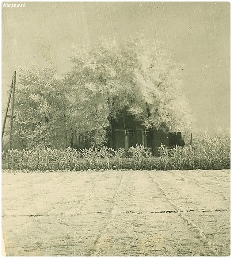 opa-1-van-1-19.jpg