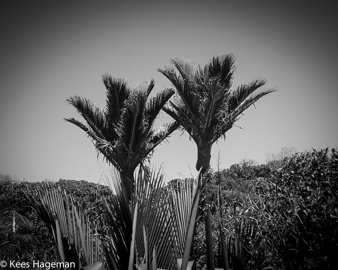 L1001715-66-BorderMaker.jpg