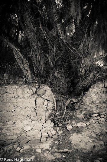 L1006359-1-BorderMaker.jpg