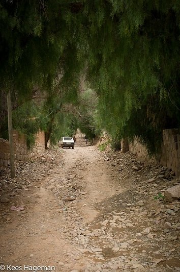 L1006365-1-BorderMaker.jpg