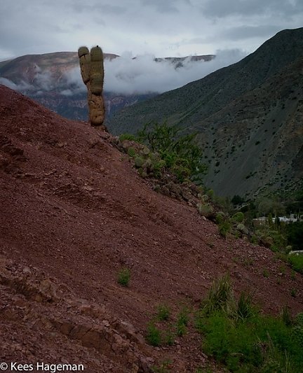 L1005847-1-BorderMaker.jpg
