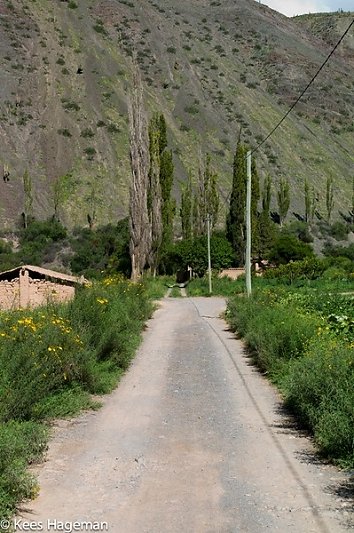 L1006239-1-BorderMaker.jpg