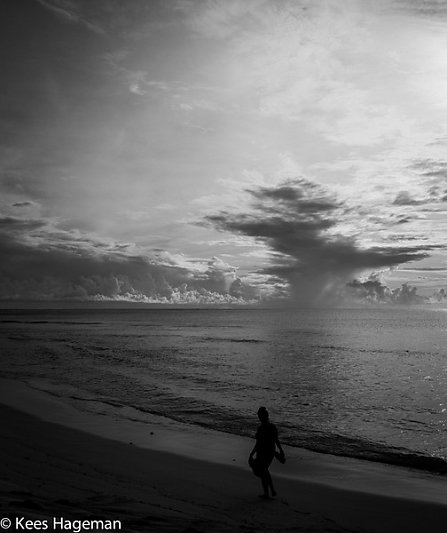 L1003281-66-BorderMaker.jpg