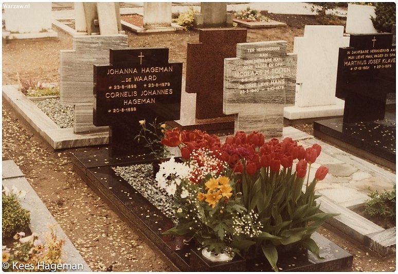 182-1.jpg