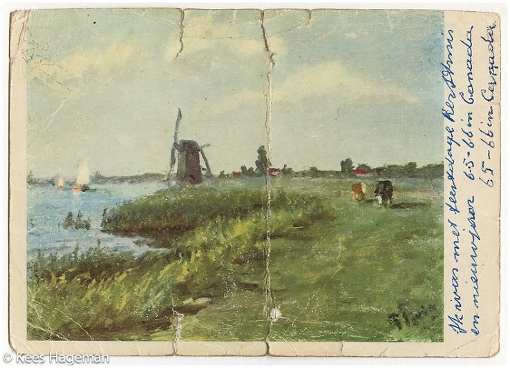 216.jpg