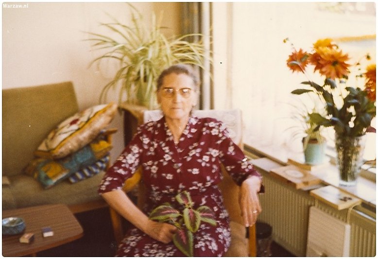 385.jpg