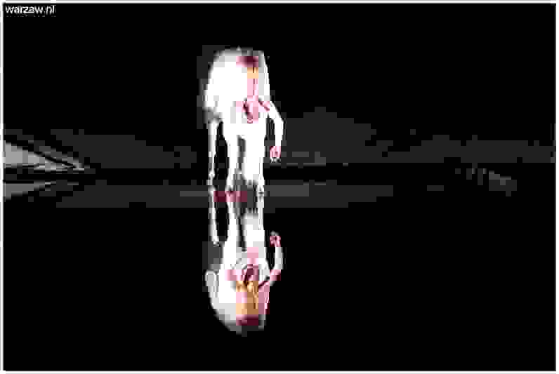 7182.jpg