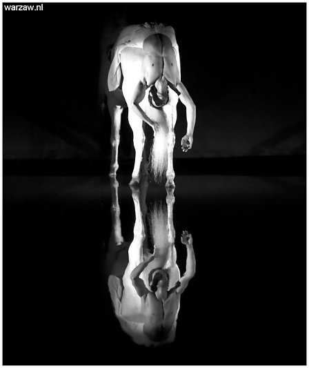 7182-2.jpg