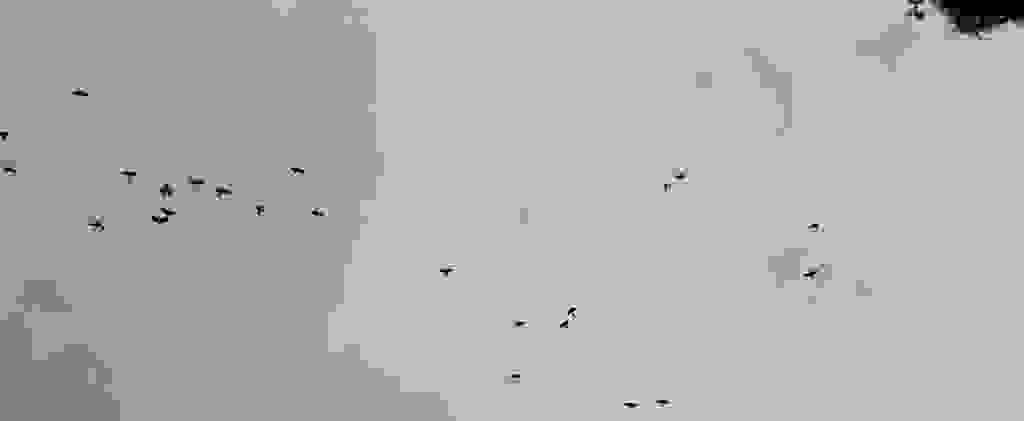 134-BorderMaker.jpg