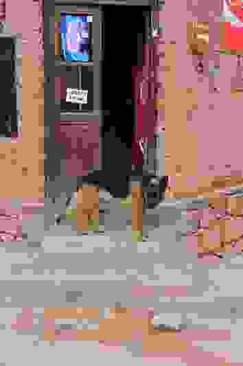 140-BorderMaker.jpg