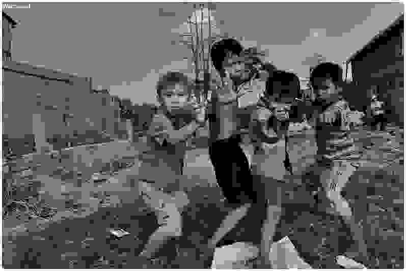 1001.jpg