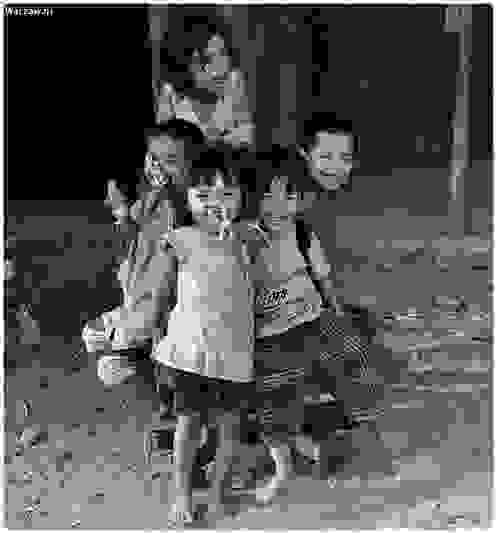 1043.jpg