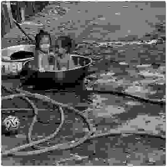 1093.jpg