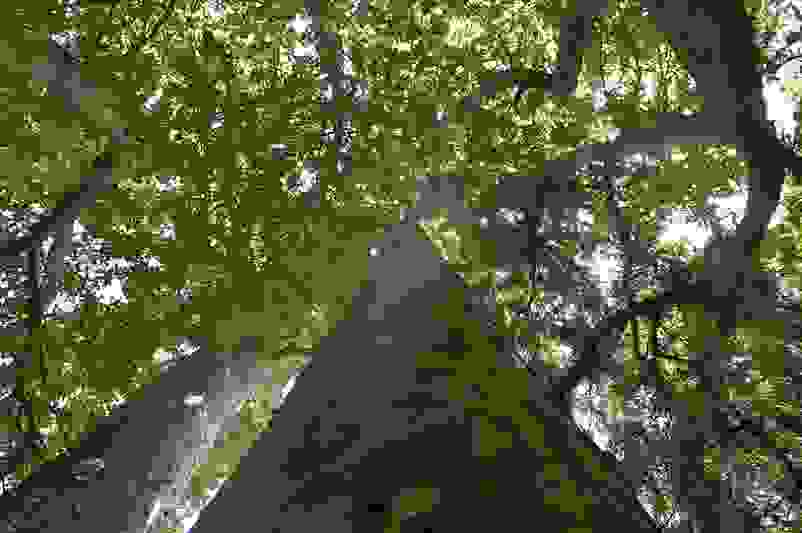 46-BorderMaker.jpg