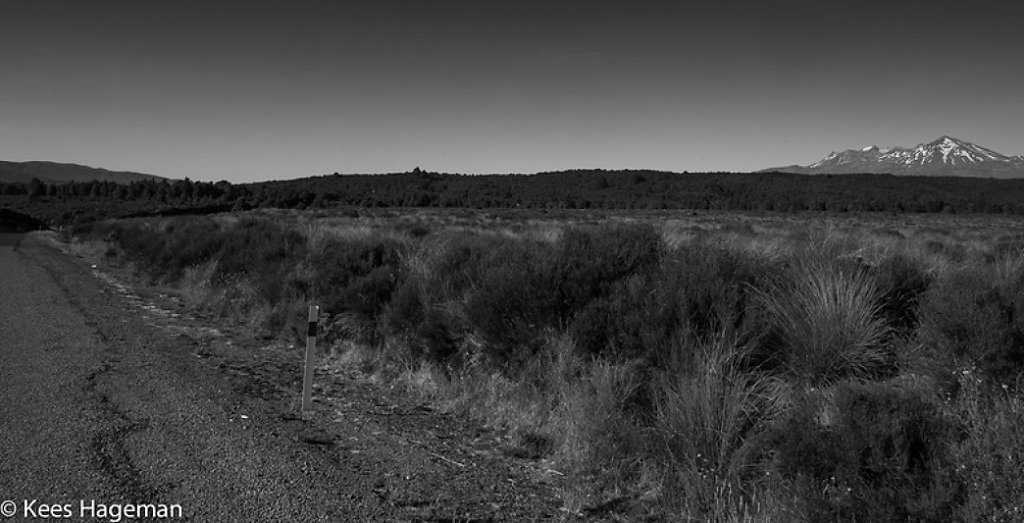 L1000979-6-BorderMaker.jpg