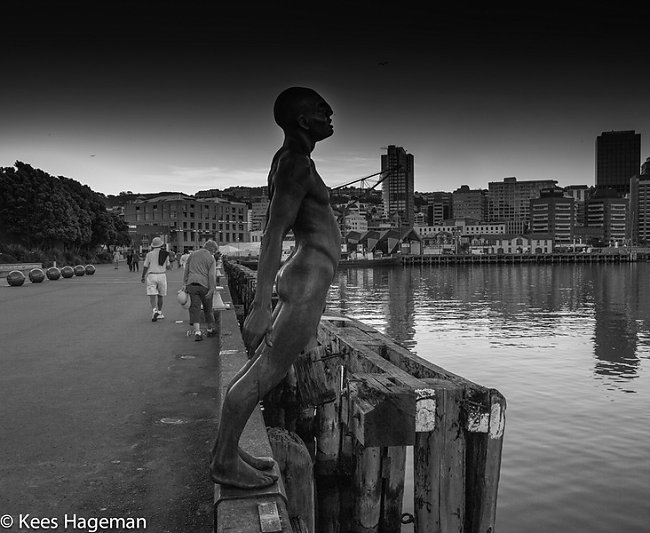 L1001279-6-BorderMaker.jpg
