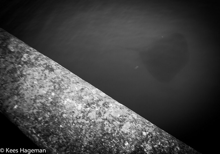 L1001281-6-BorderMaker.jpg