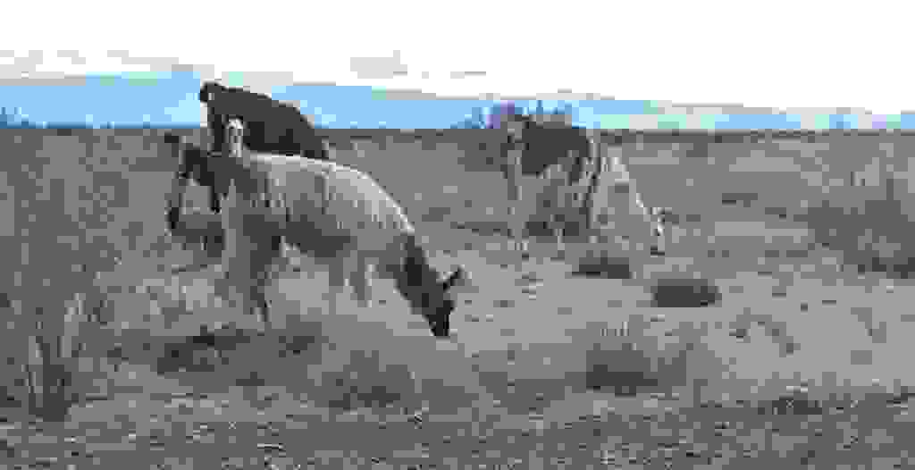 50-BorderMaker.jpg