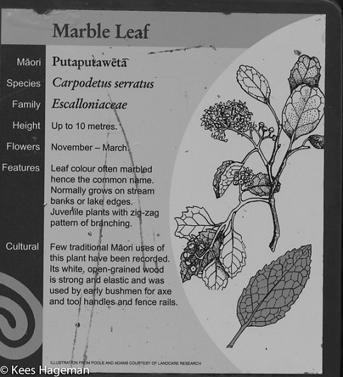 L1002132-9-BorderMaker.jpg