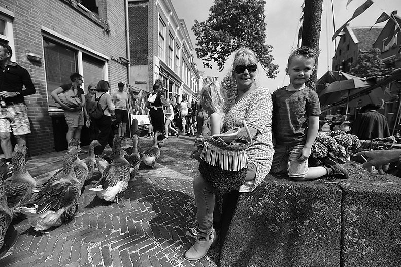 DSC-9585-BorderMaker-kopie.jpg