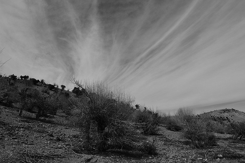 DSC-6740-BorderMaker.jpg
