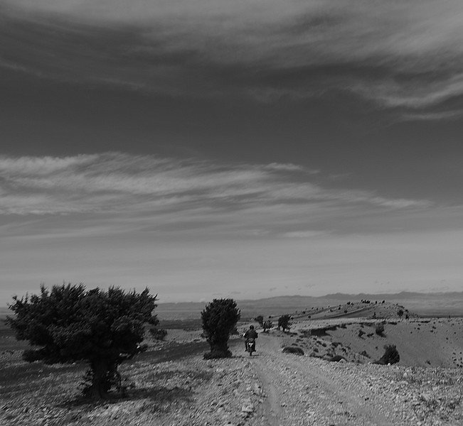DSC-6807-BorderMaker.jpg